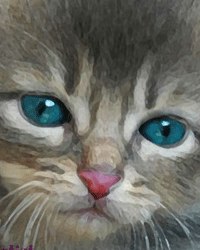 kitten - hand painted