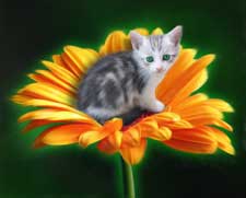 portrait of kitten in a flower