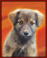 pet puppy portrait