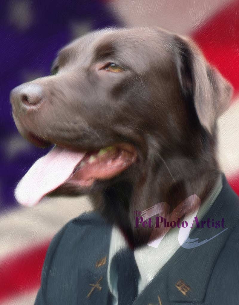 funny dog portrait of Sargent