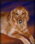 painting of golden Lab